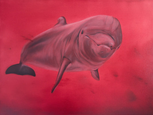 Bloody Dolphin (Serie: RED planet earth)