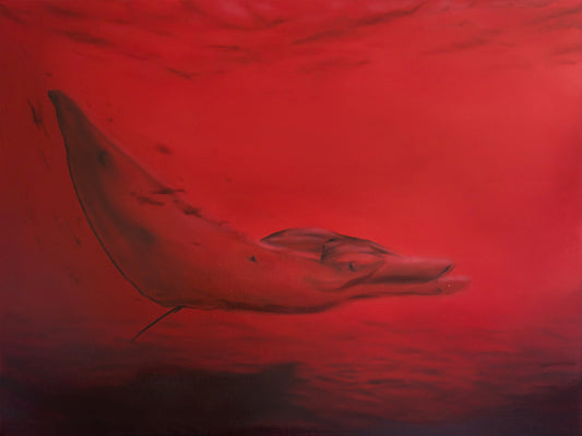 Bloody Manta Ray (Serie: RED planet earth)