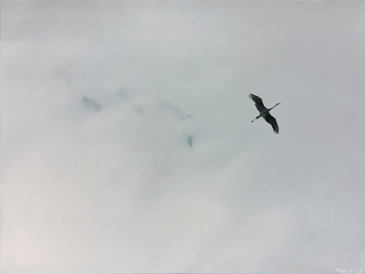 Kraniche in den Wolken (Serie: out of the BLUE)