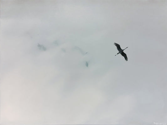 Kraniche in den Wolken (Serie: out of the BLUE)