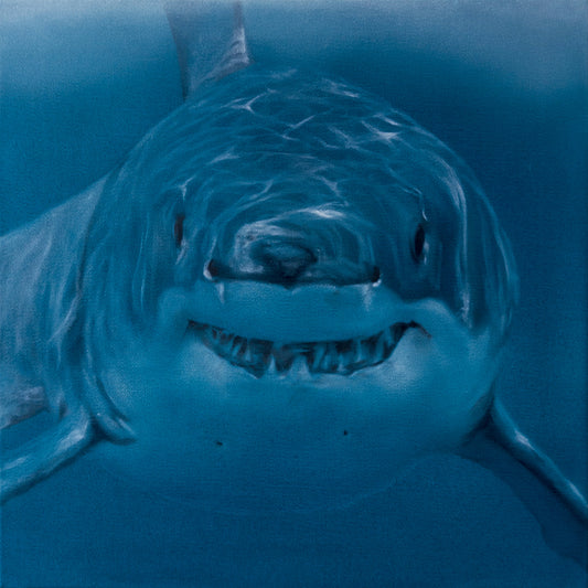 Hai frontal 2 (Serie: out of the BLUE)