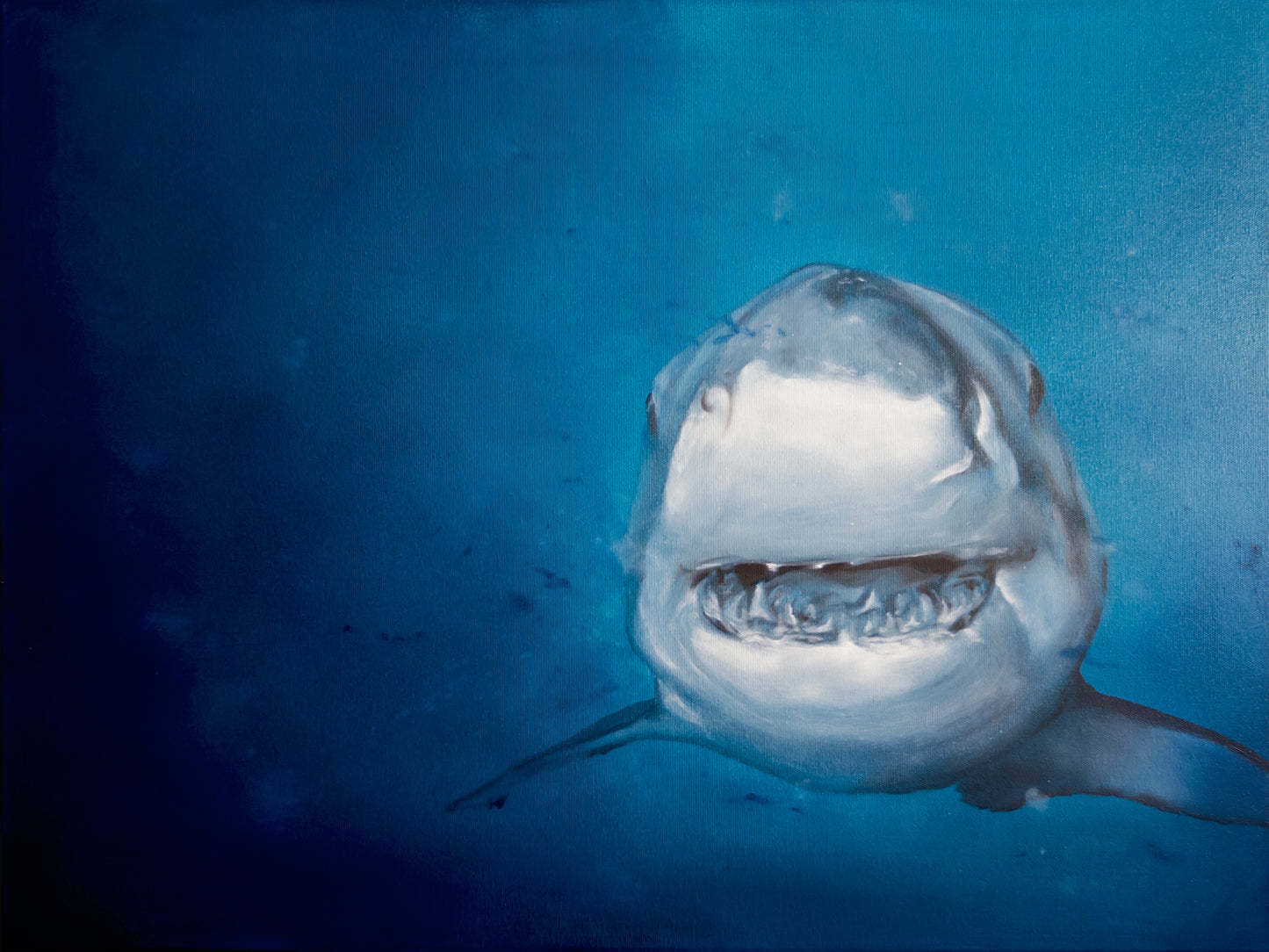 Hai frontal (Serie: out of the BLUE)