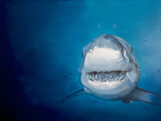 Hai frontal (Serie: out of the BLUE)